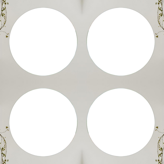Acrylic Circle Photo Gallery Set Circle (4 Frame)