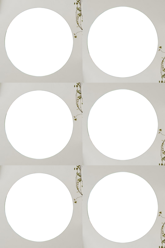 Acrylic Circle Photo Gallery Set Circle (6 frame)